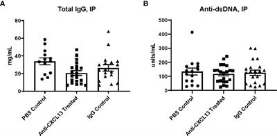CXCL13 Neutralization Attenuates Neuropsychiatric Manifestations in Lupus-Prone Mice
